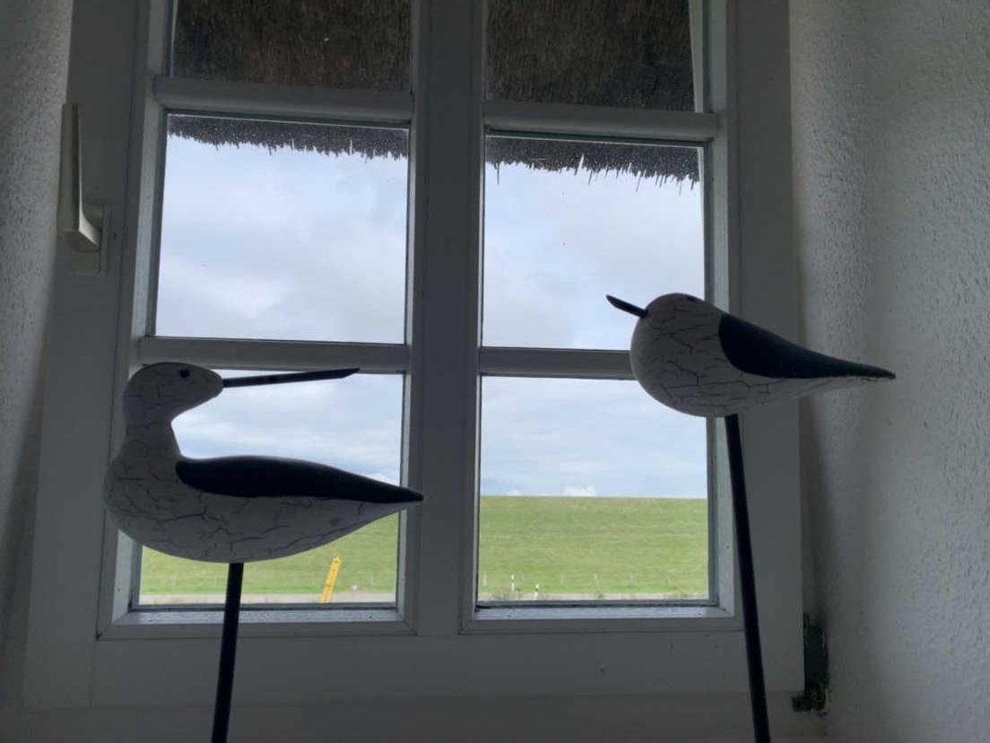 Friesenhof Windfang Villa Nordstrand Eksteriør bilde